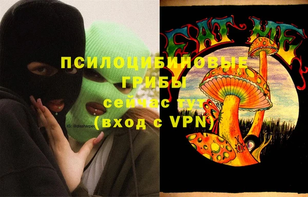 ГАЛЛЮЦИНОГЕННЫЕ ГРИБЫ Абдулино