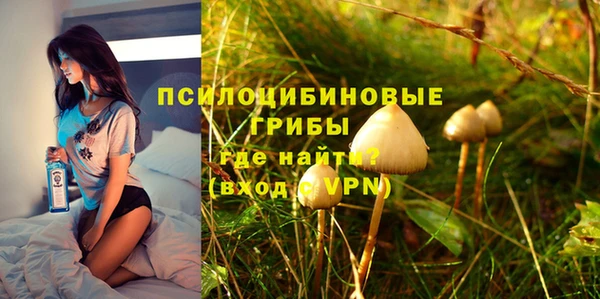 ГАЛЛЮЦИНОГЕННЫЕ ГРИБЫ Абдулино