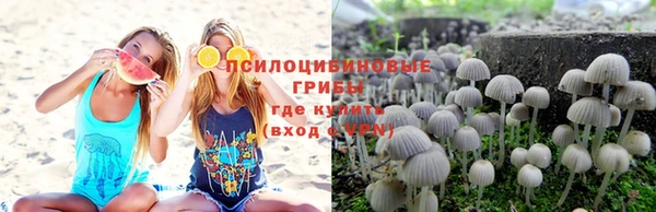 мяу мяу мука Абинск